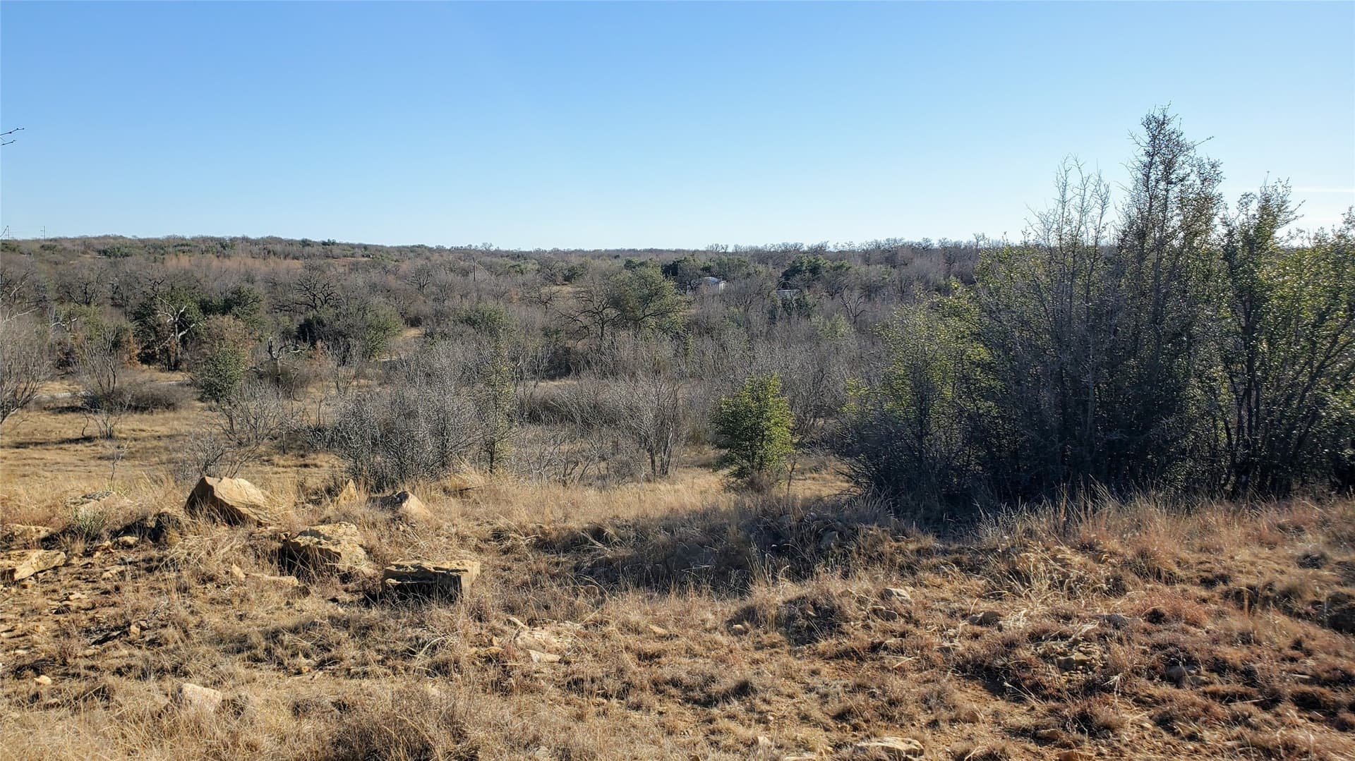 257 acres in Eastland County - photo 6