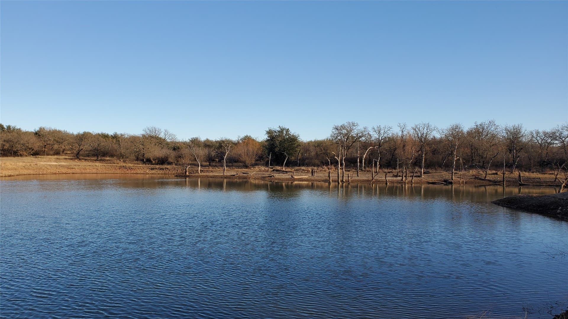 257 acres in Eastland County - photo 5