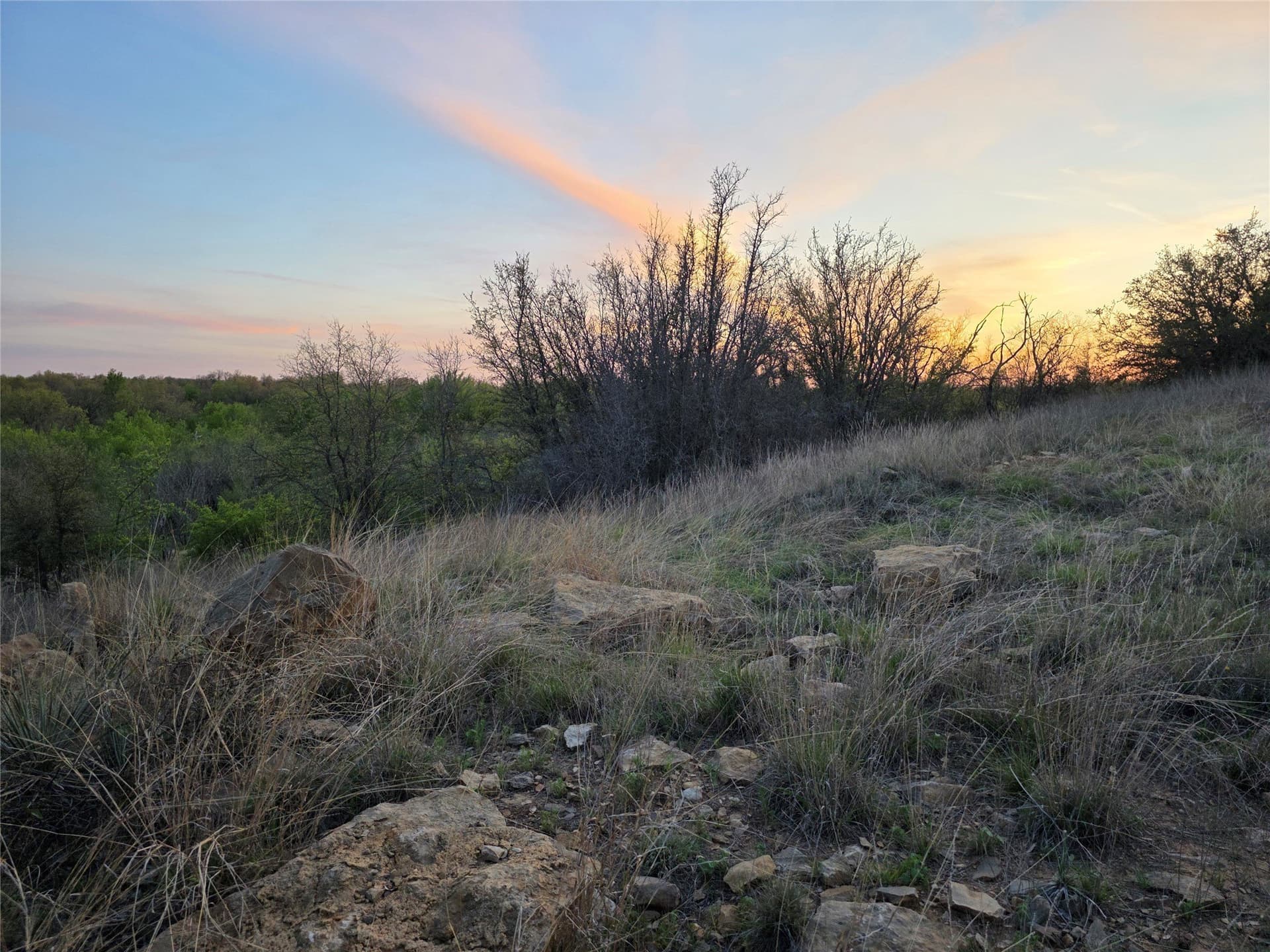 257 acres in Eastland County - photo 2