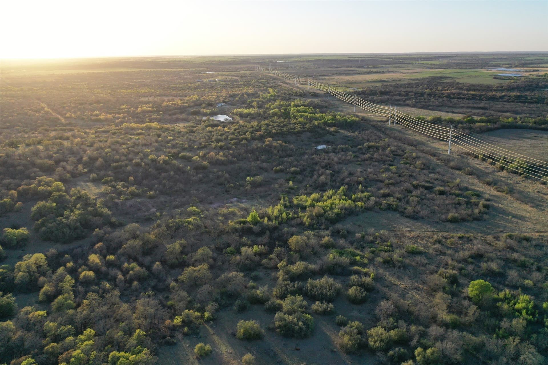 257 acres in Eastland County - photo 19