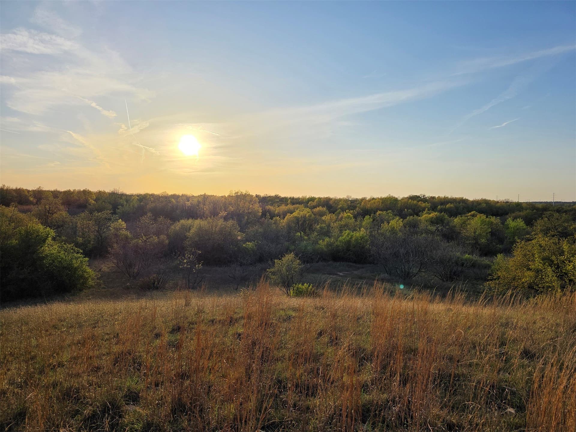 257 acres in Eastland County - photo 17