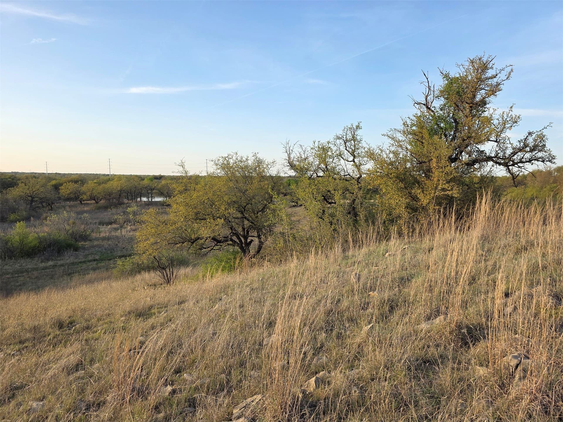 257 acres in Eastland County - photo 18