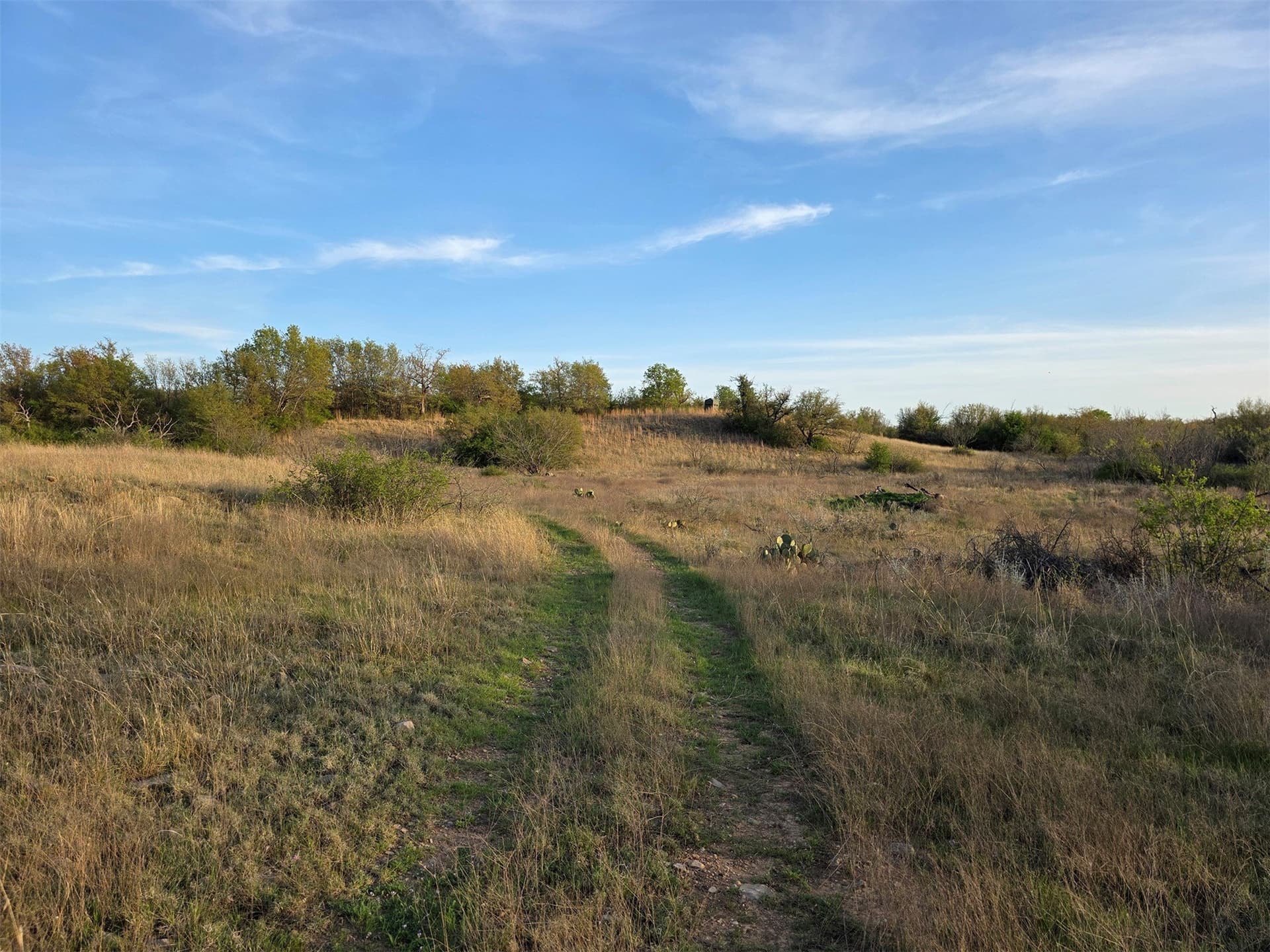 257 acres in Eastland County - photo 14