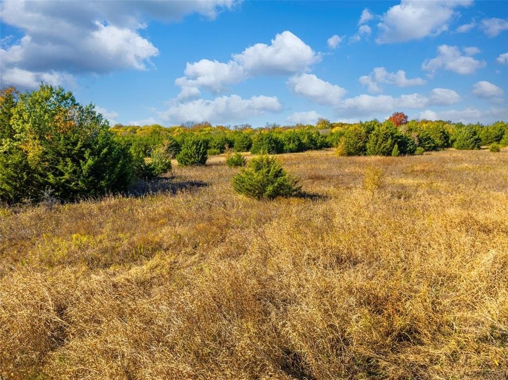 18.18 acres in Collin County gallery image 4