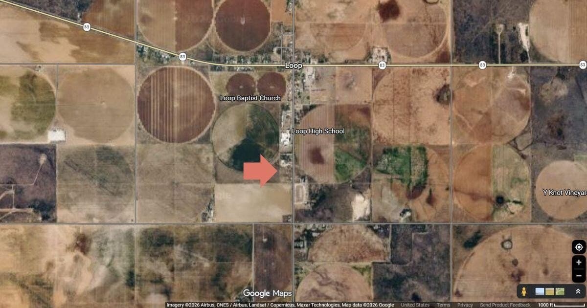 3 acres in Gaines County gallery image 3