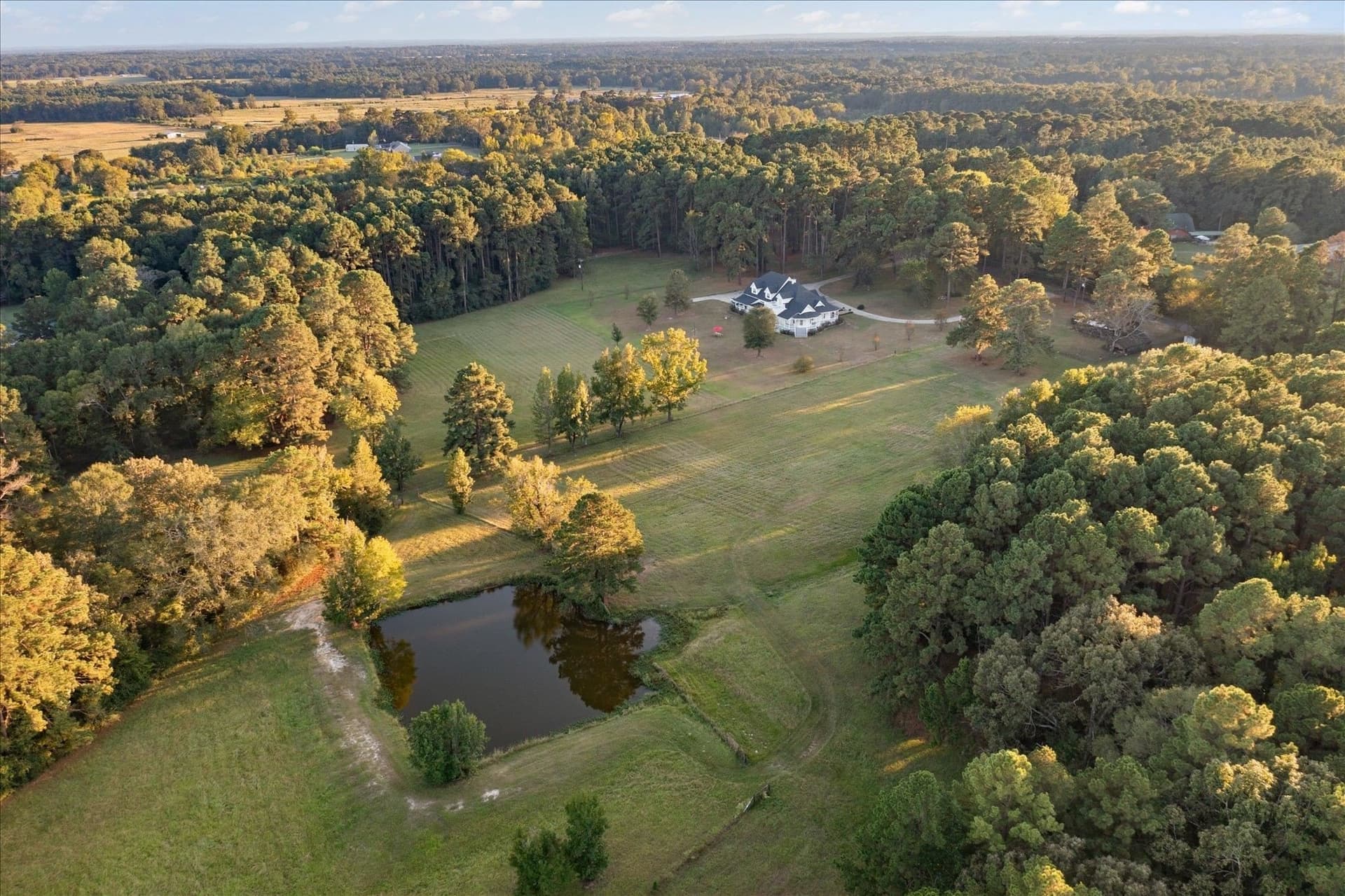 50 acres in Panola County gallery image 4