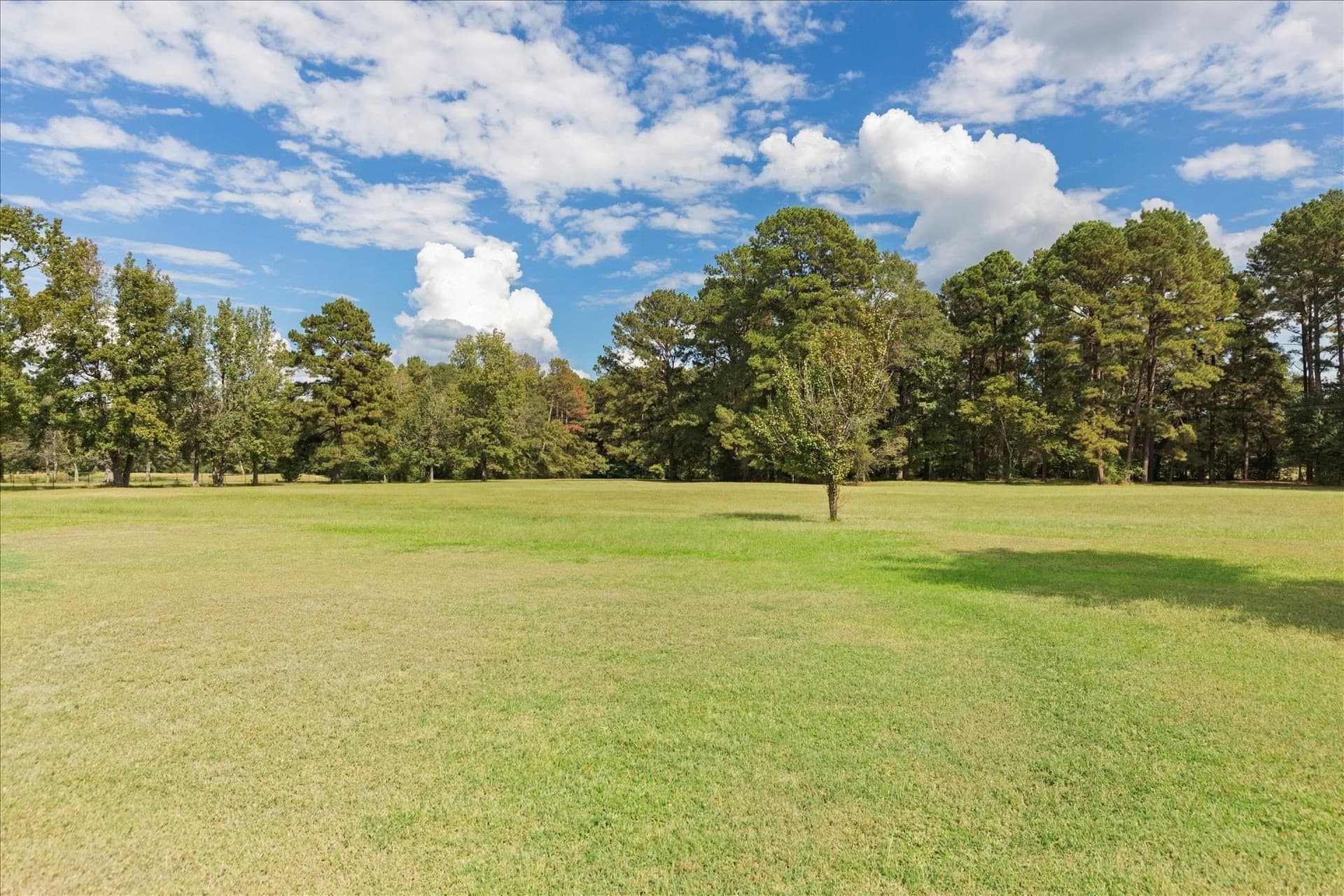 50 acres in Panola County - photo 41