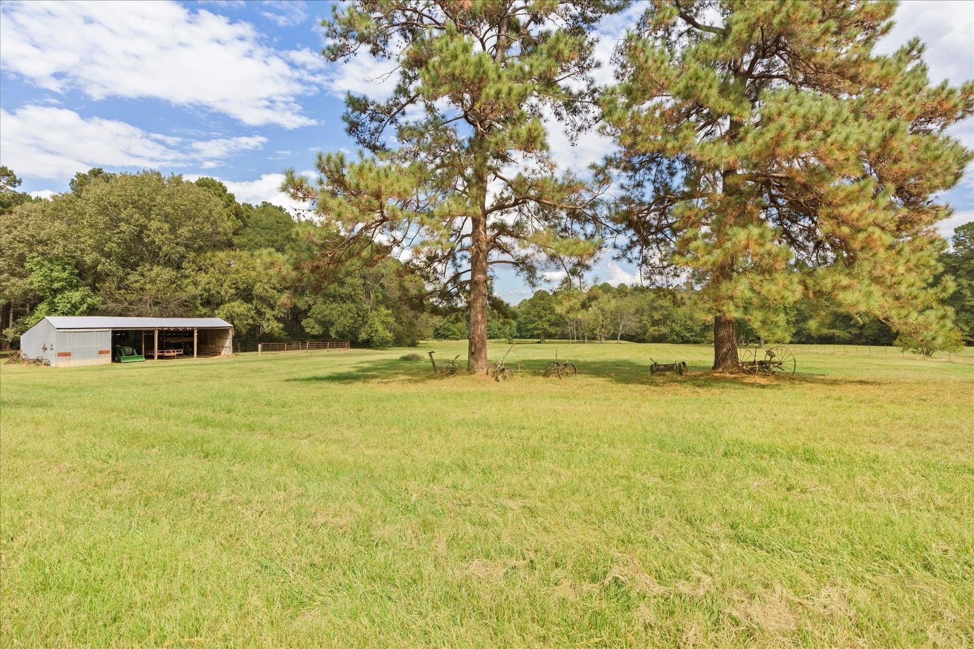 50 acres in Panola County - photo 6