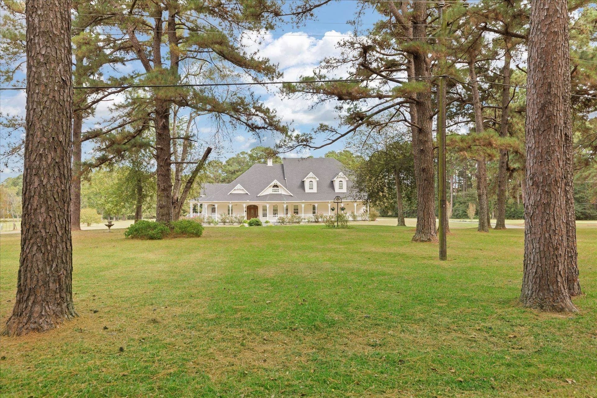 50 acres in Panola County - photo 44