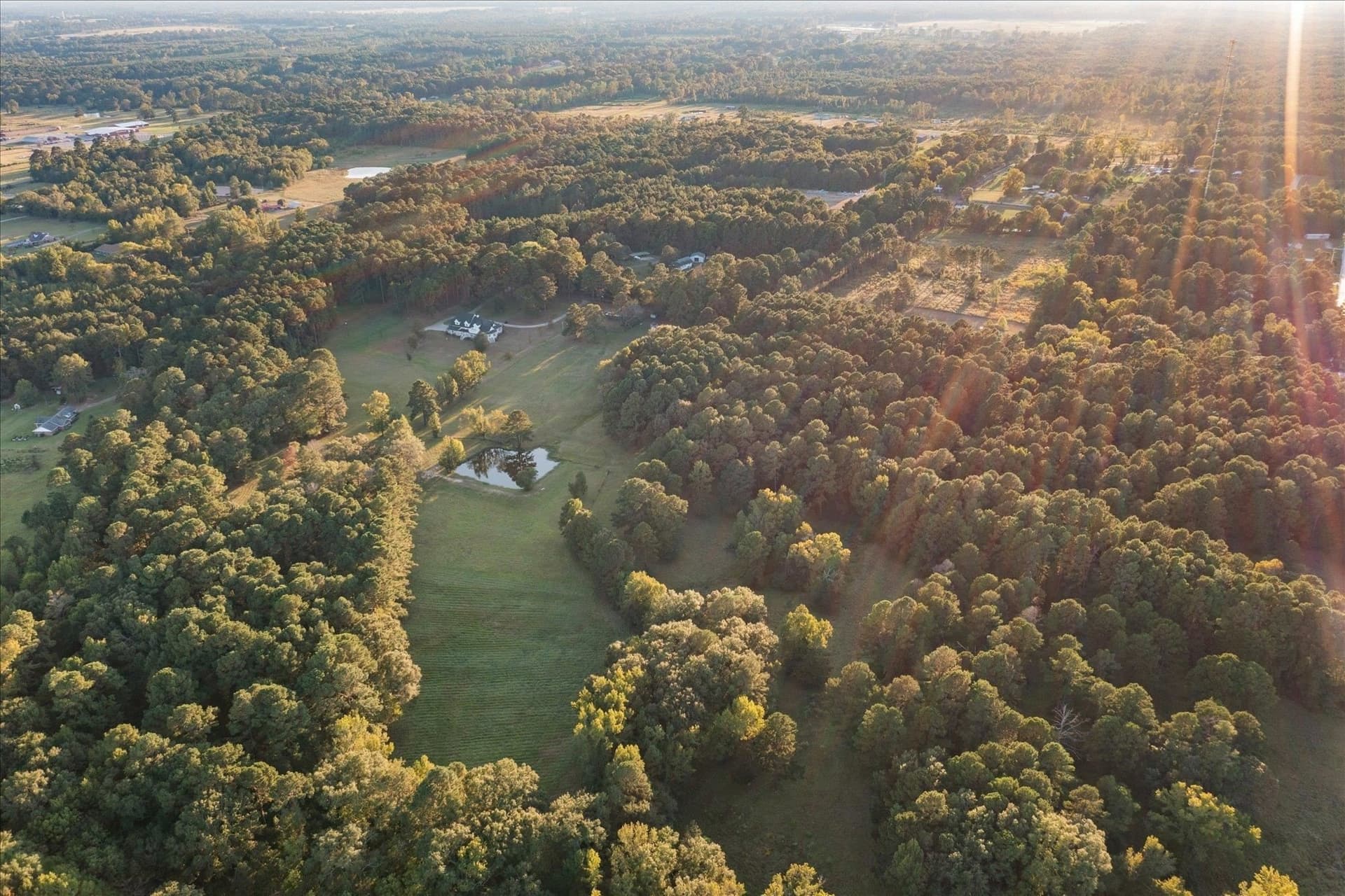 50 acres in Panola County featured view