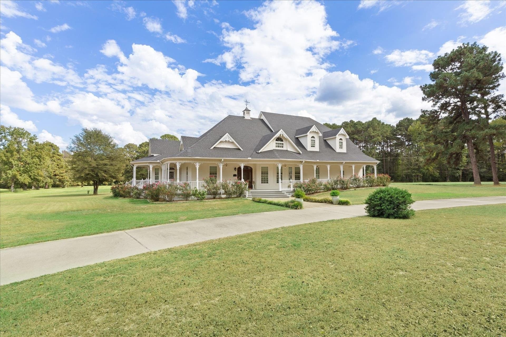 50 acres in Panola County - photo 8