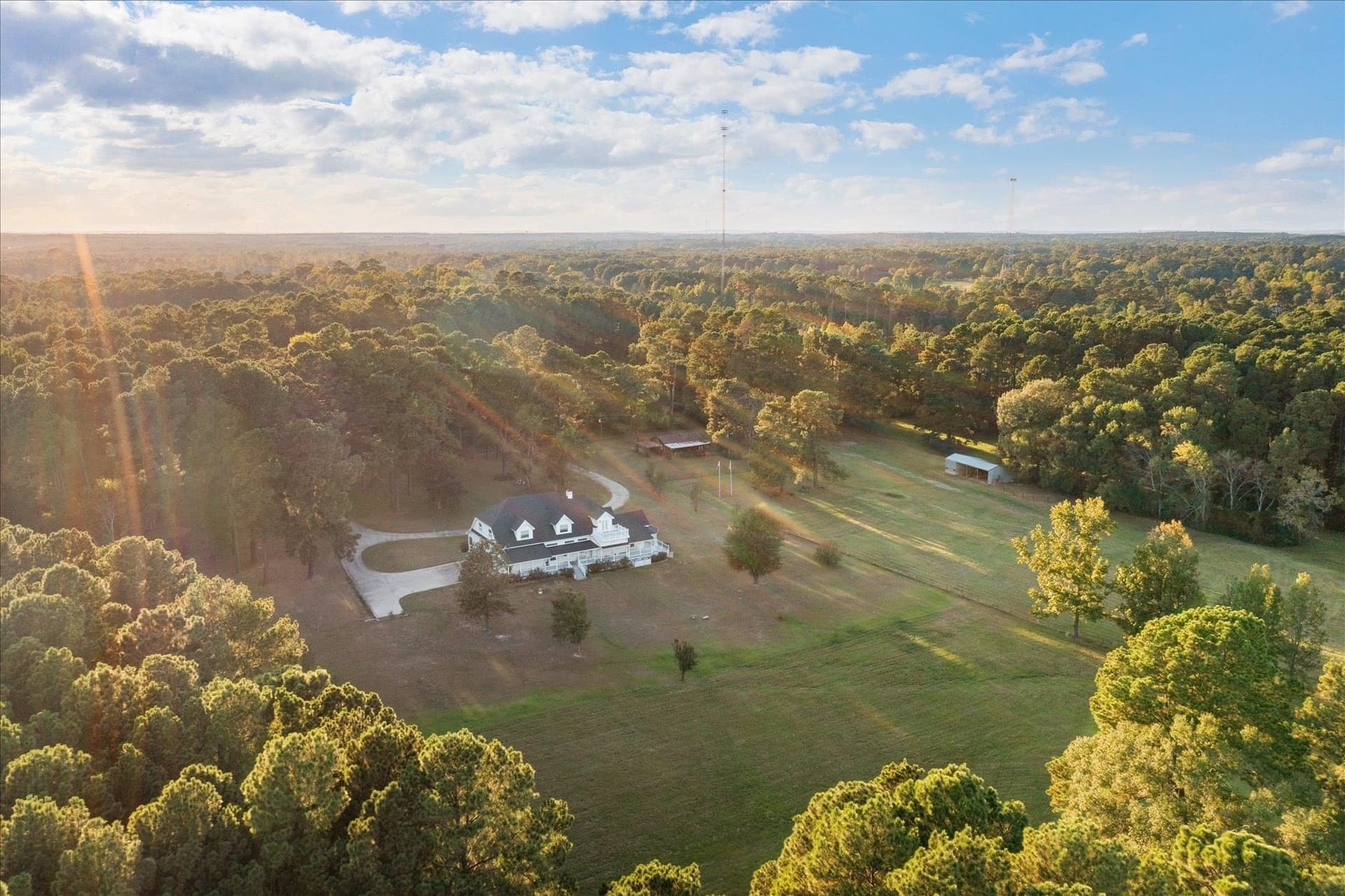 50 acres in Panola County gallery image 3