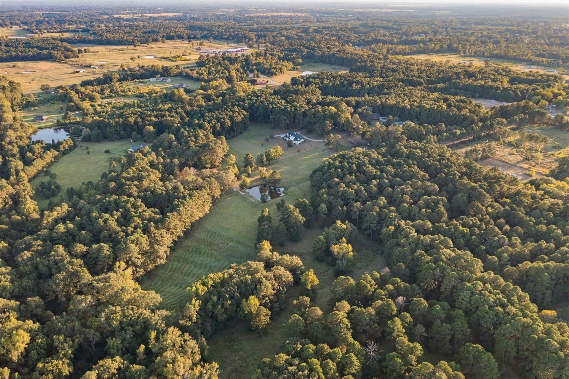50 acres in Panola County - photo 47