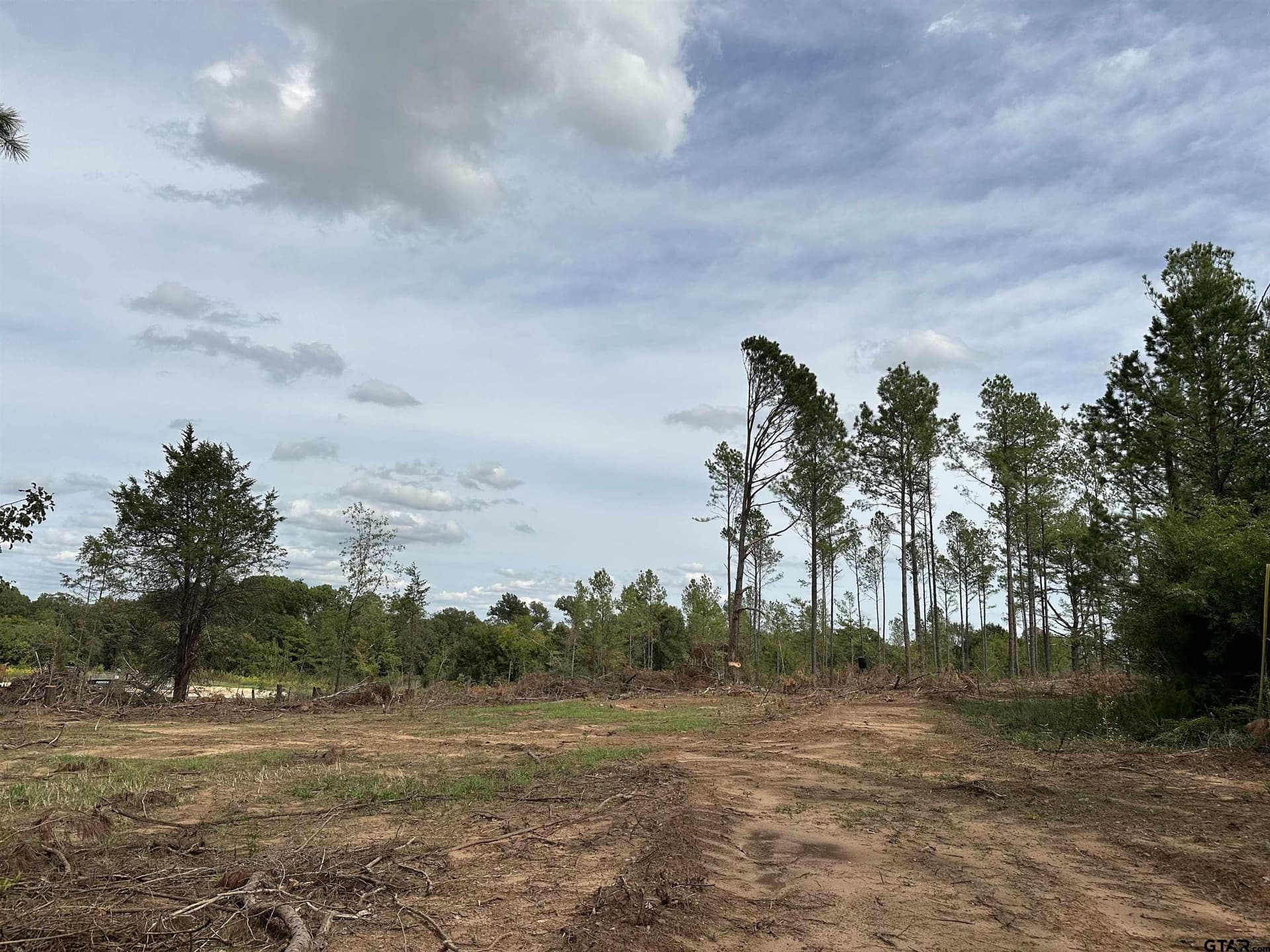 13.2 acres in Smith County - photo 7