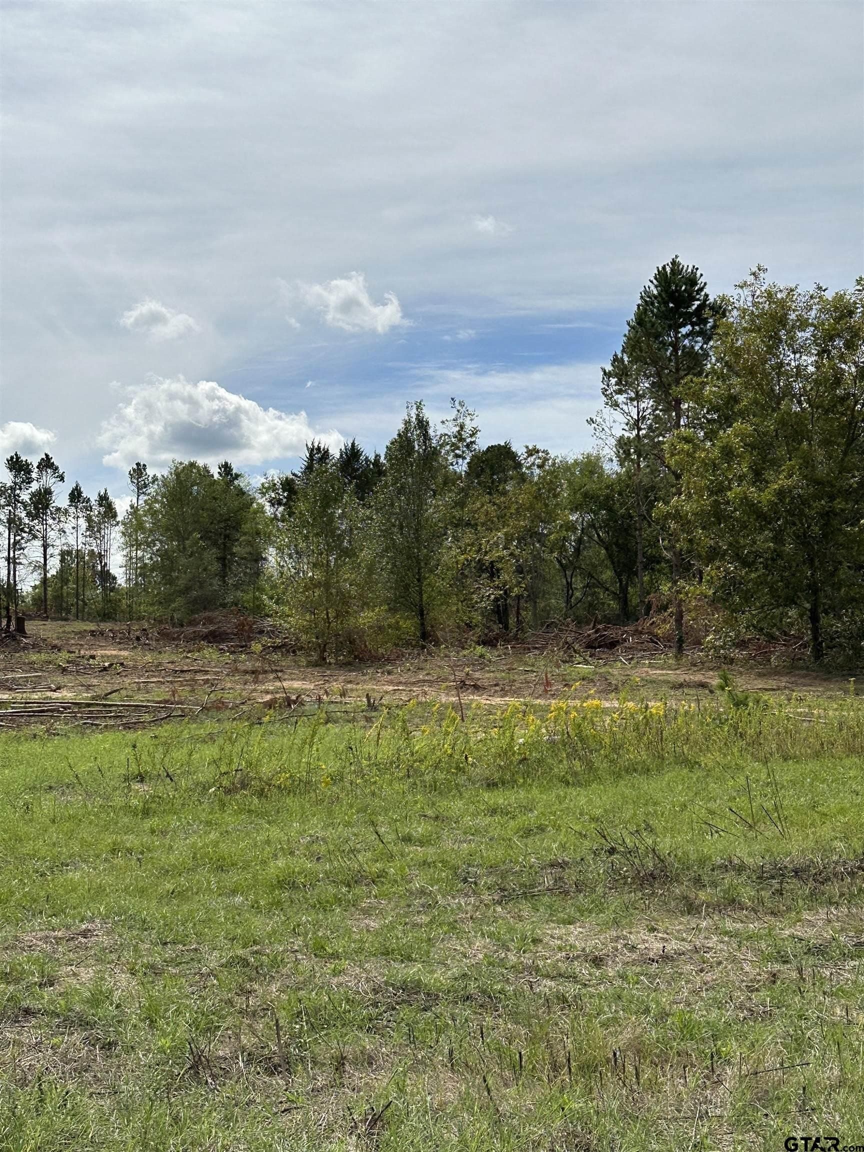 13.2 acres in Smith County - photo 4