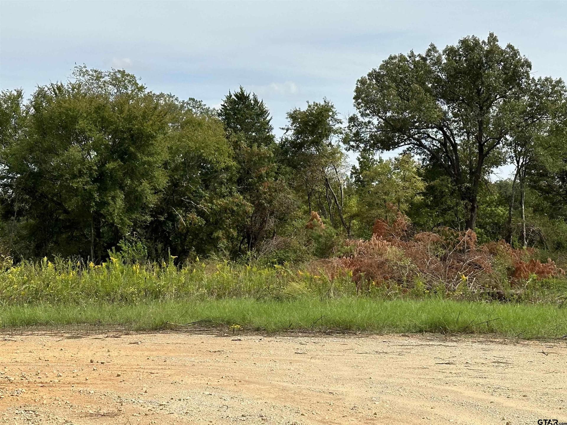 13.2 acres in Smith County - photo 6