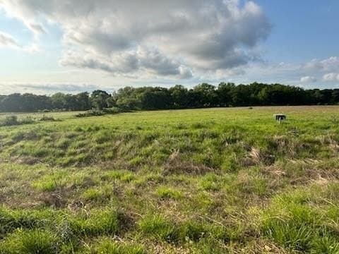 2.09 acres in Hill County gallery image 3