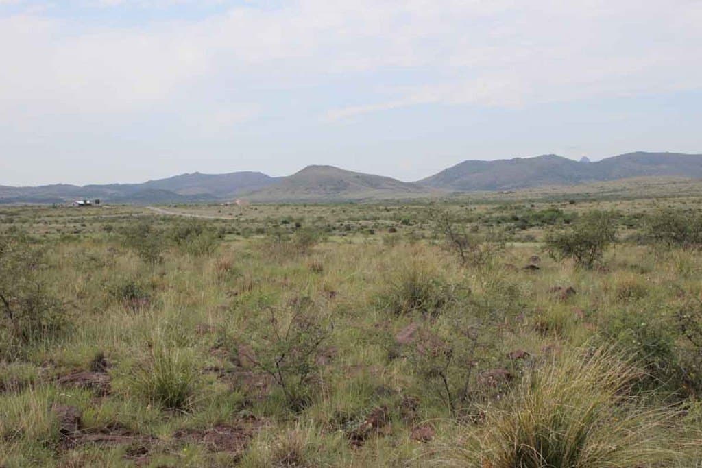 25.11 acres in Brewster County - photo 8