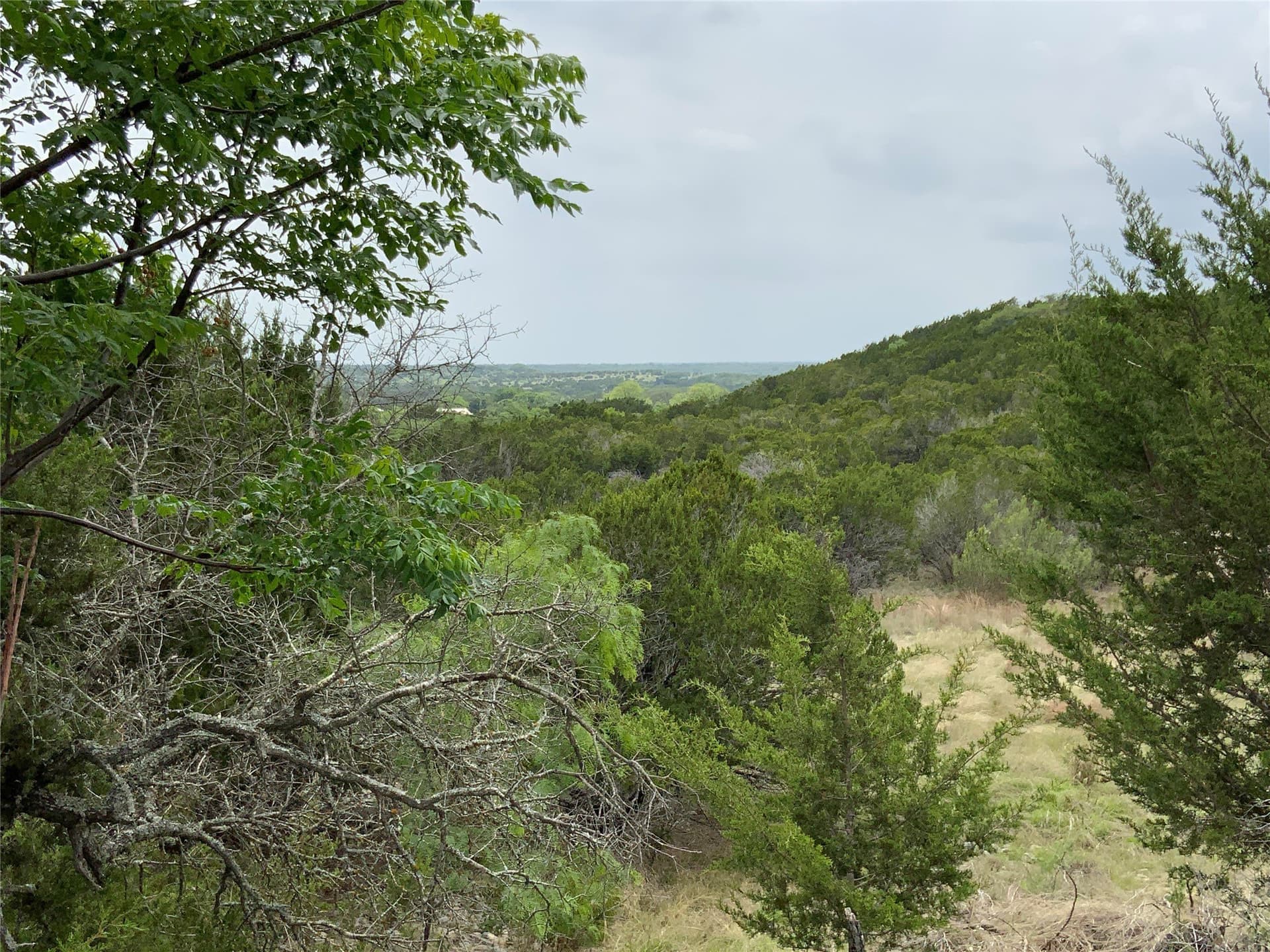 67.83 acres in Lampasas County - photo 4