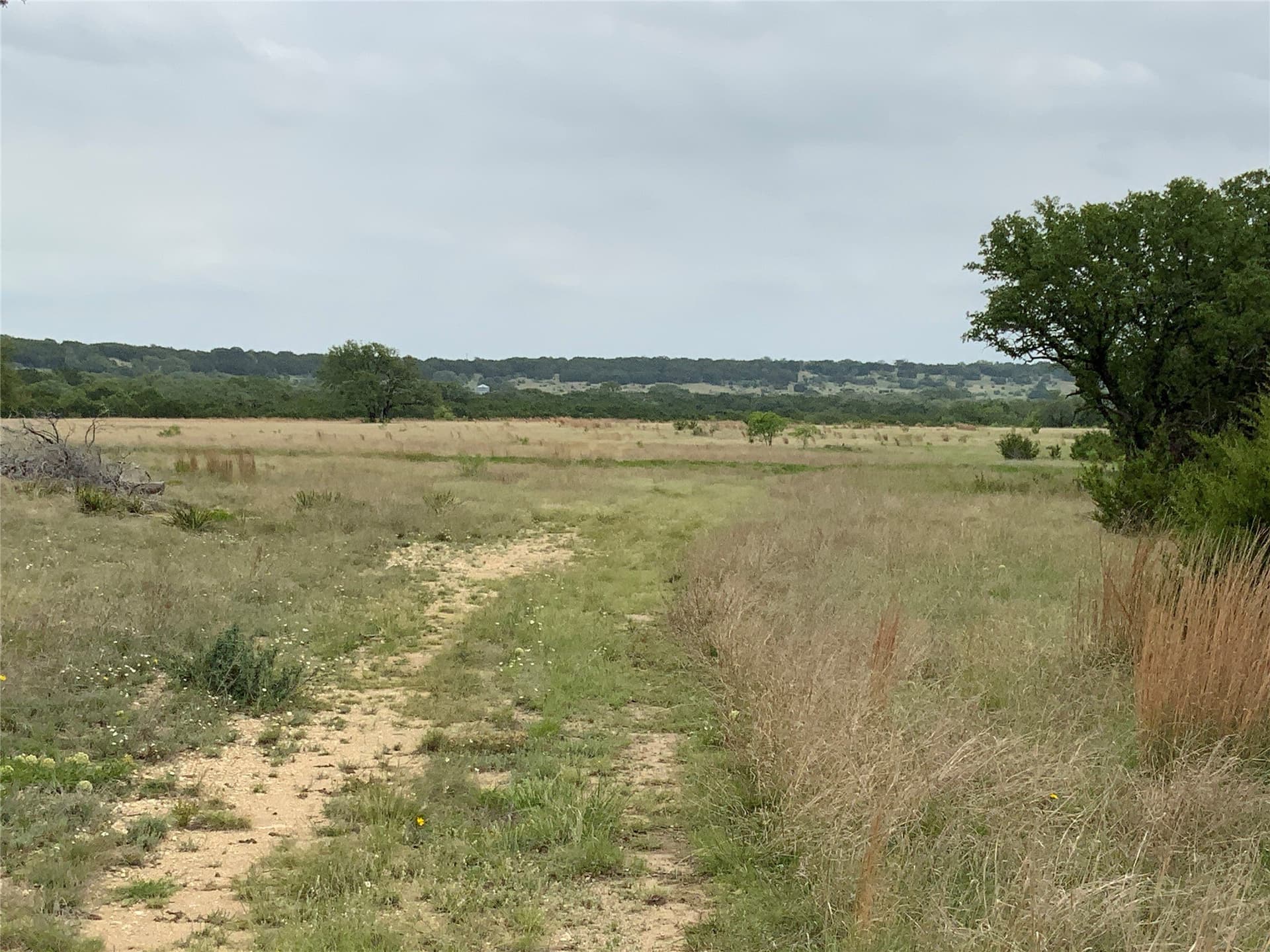 67.83 acres in Lampasas County - photo 7