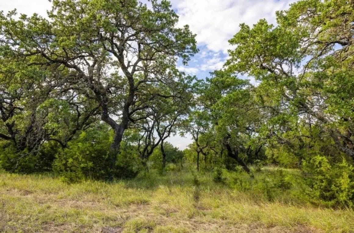67.83 acres in Lampasas County - photo 18