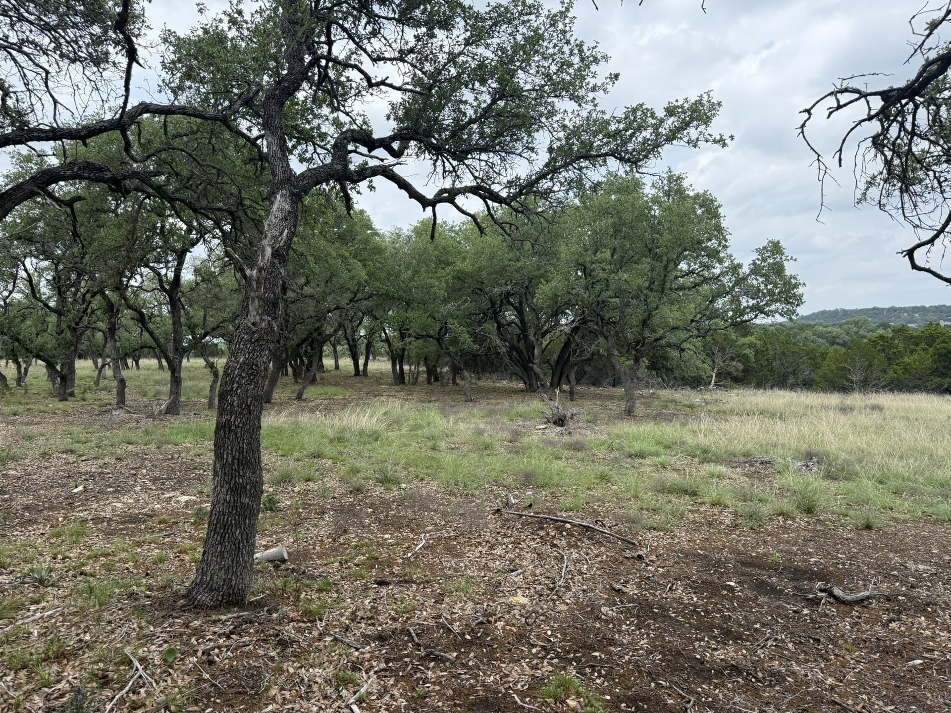 67.83 acres in Lampasas County - photo 10