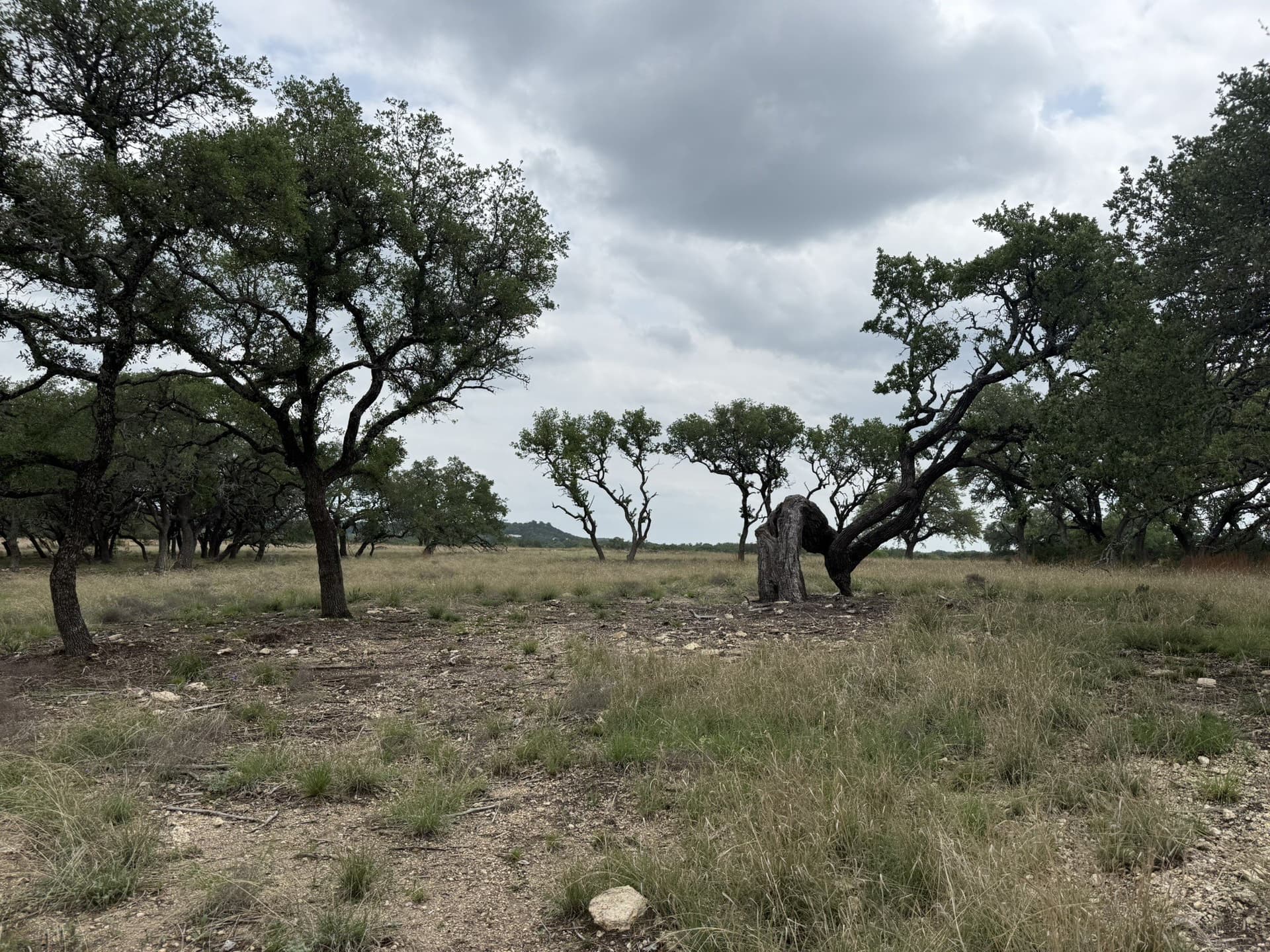 67.83 acres in Lampasas County - photo 8