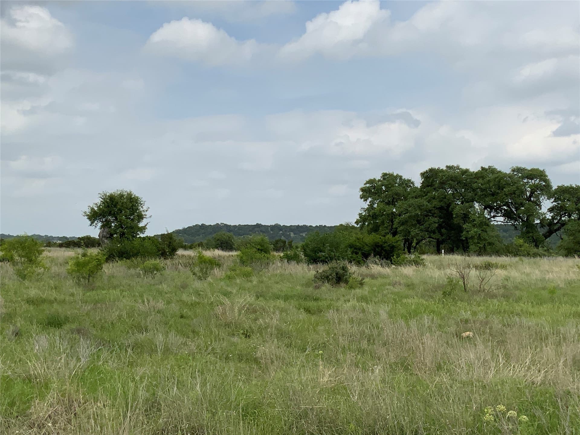 67.83 acres in Lampasas County - photo 6