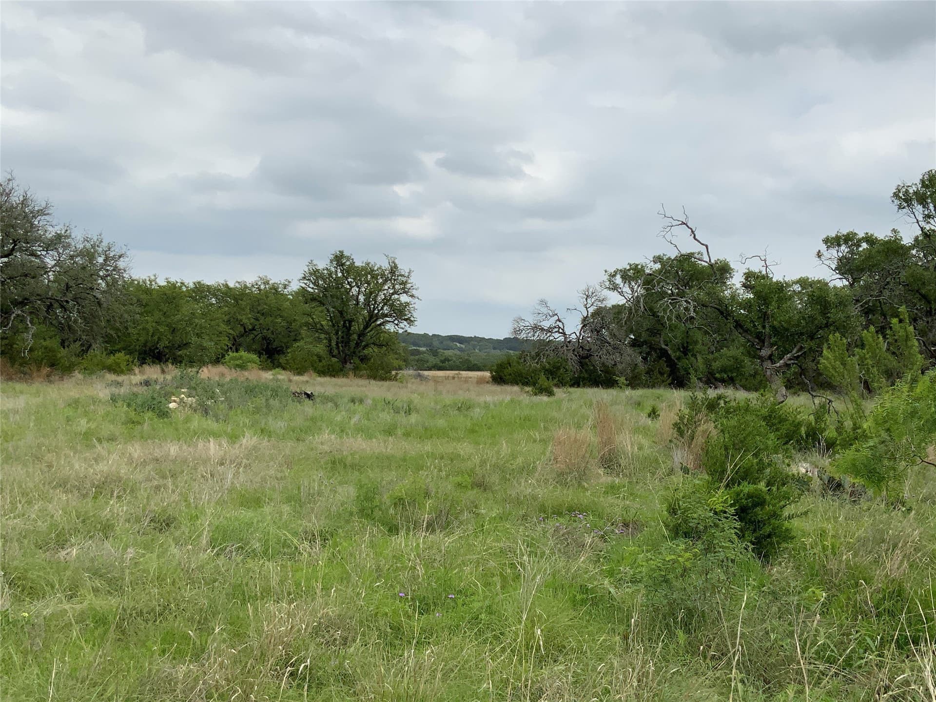 67.83 acres in Lampasas County - photo 5