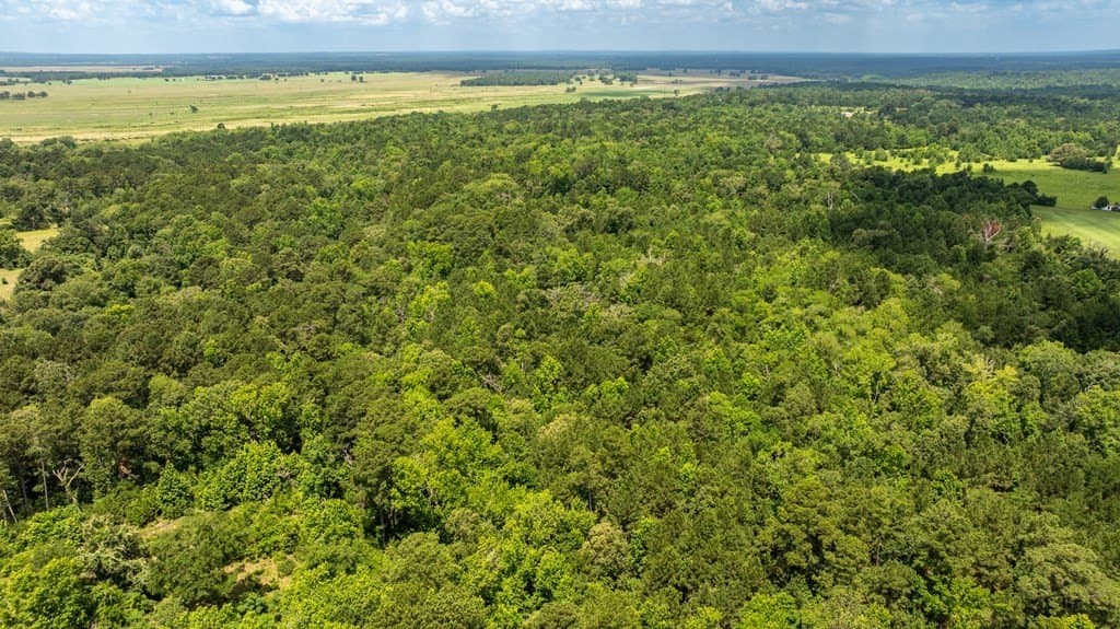 133.34 acres in ANDERSON County - photo 9
