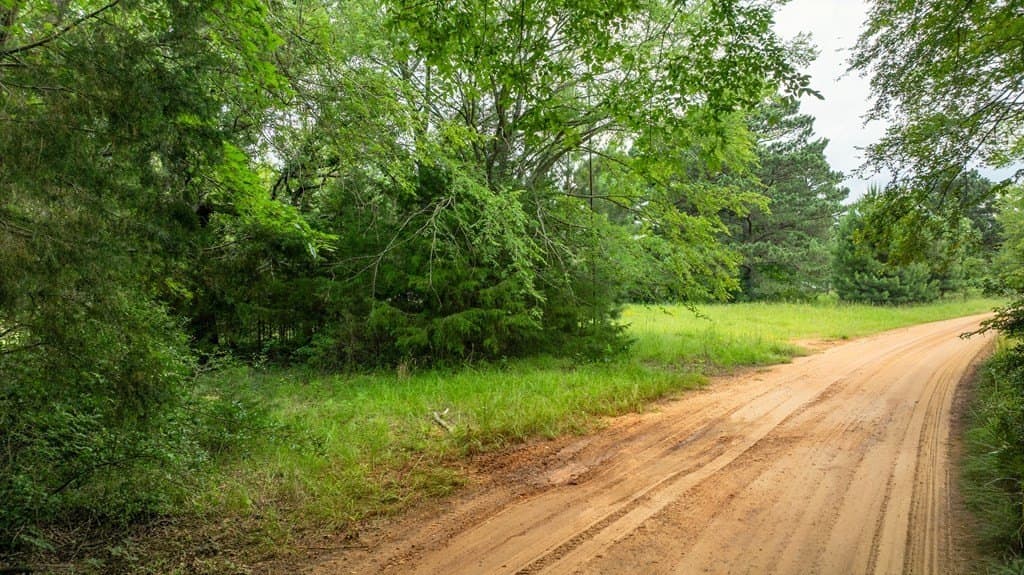 133.34 acres in ANDERSON County gallery image 2