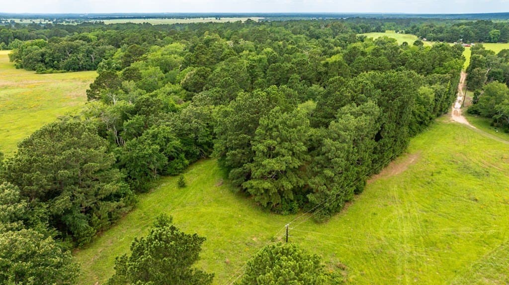 133.34 acres in ANDERSON County - photo 7