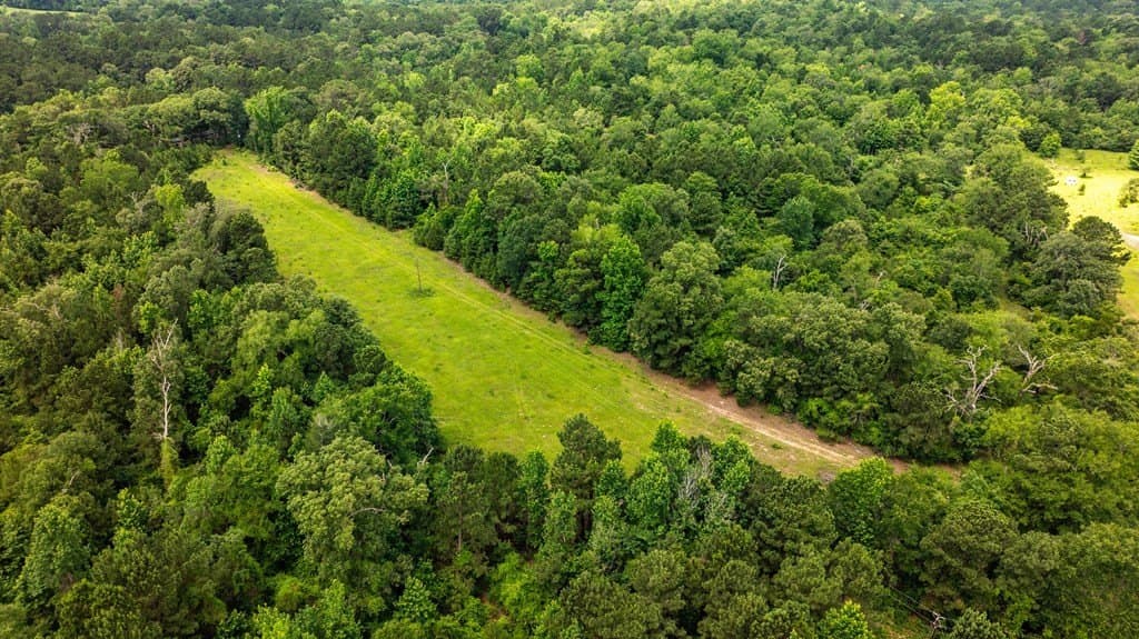 133.34 acres in ANDERSON County - photo 6