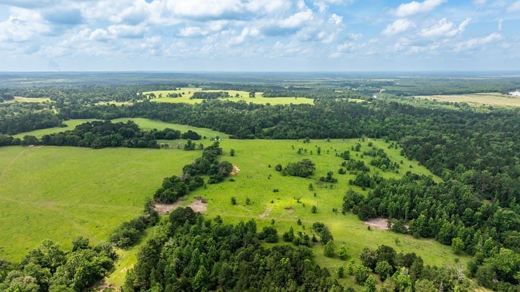 133.34 acres in ANDERSON County gallery image 4