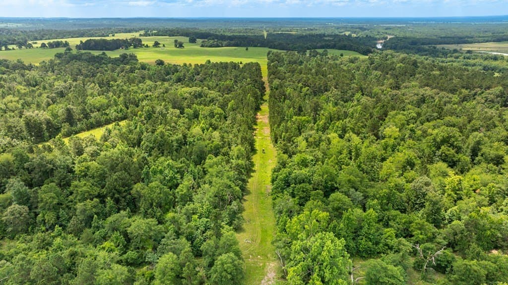 133.34 acres in ANDERSON County - photo 8