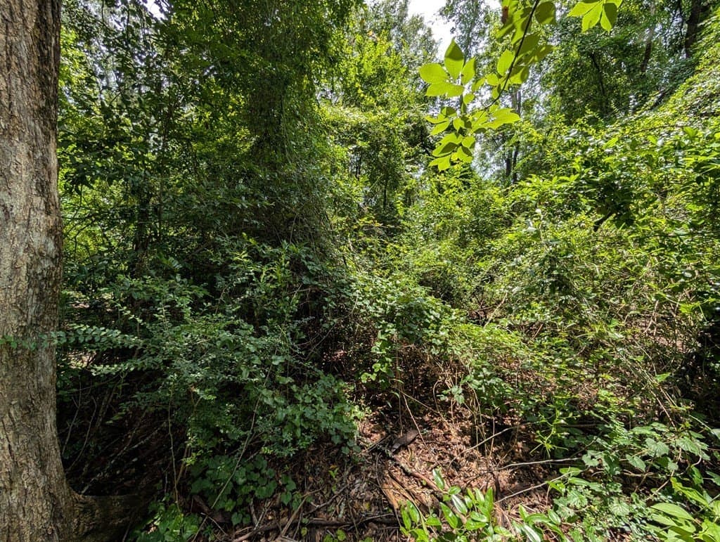 1.7 acres in Texas County featured view