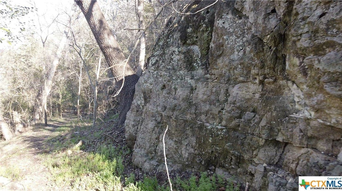 5.49 acres in Bell County - photo 14