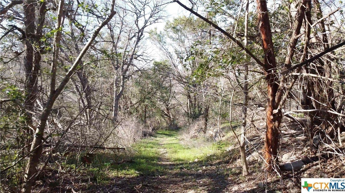 5.49 acres in Bell County - photo 13