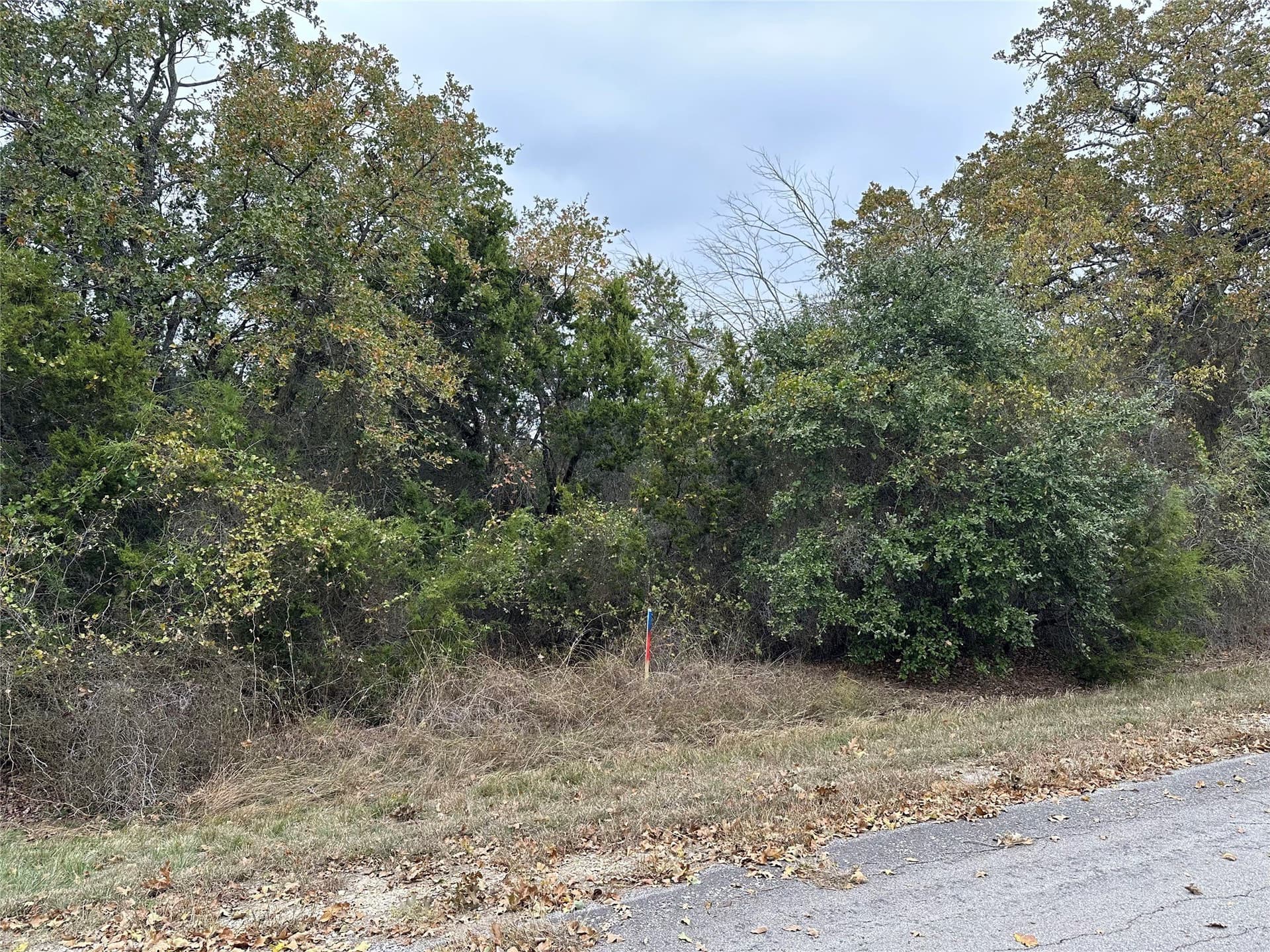 0.24 acres in Hill County - photo 2