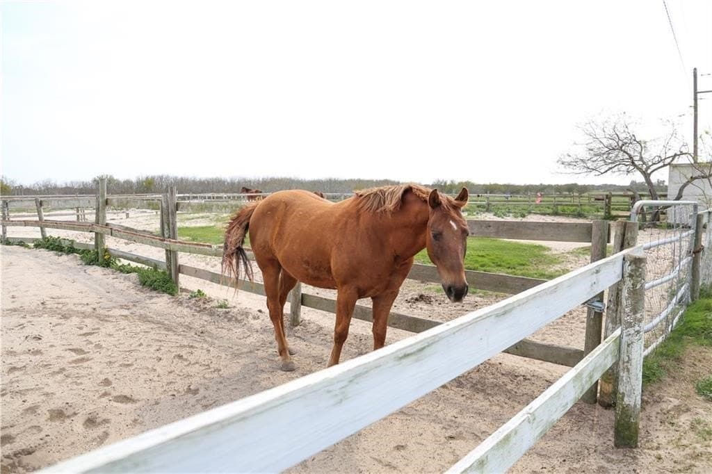 87.26 acres in Nueces County - photo 7