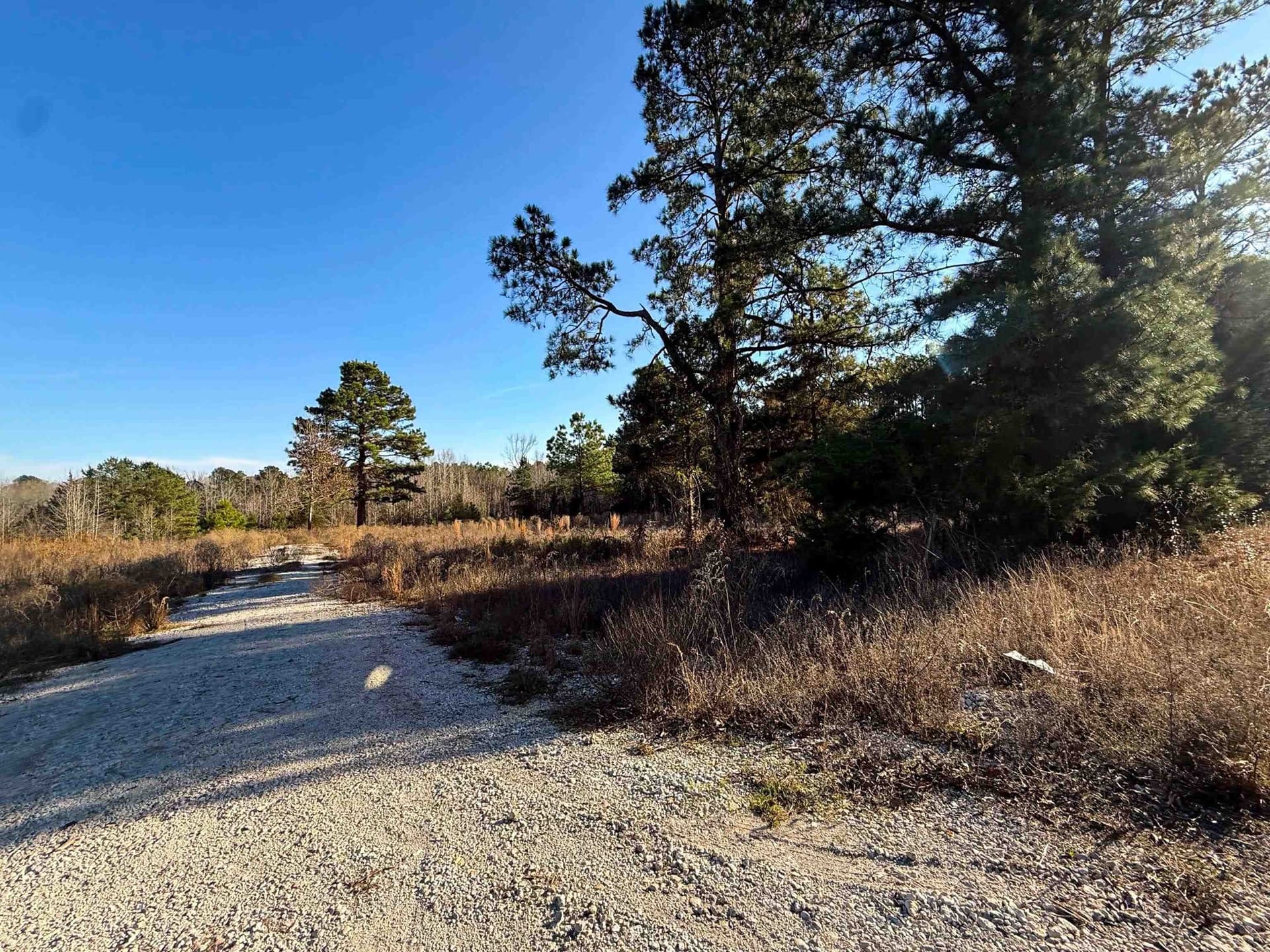 2.16 acres in Texas County gallery image 3