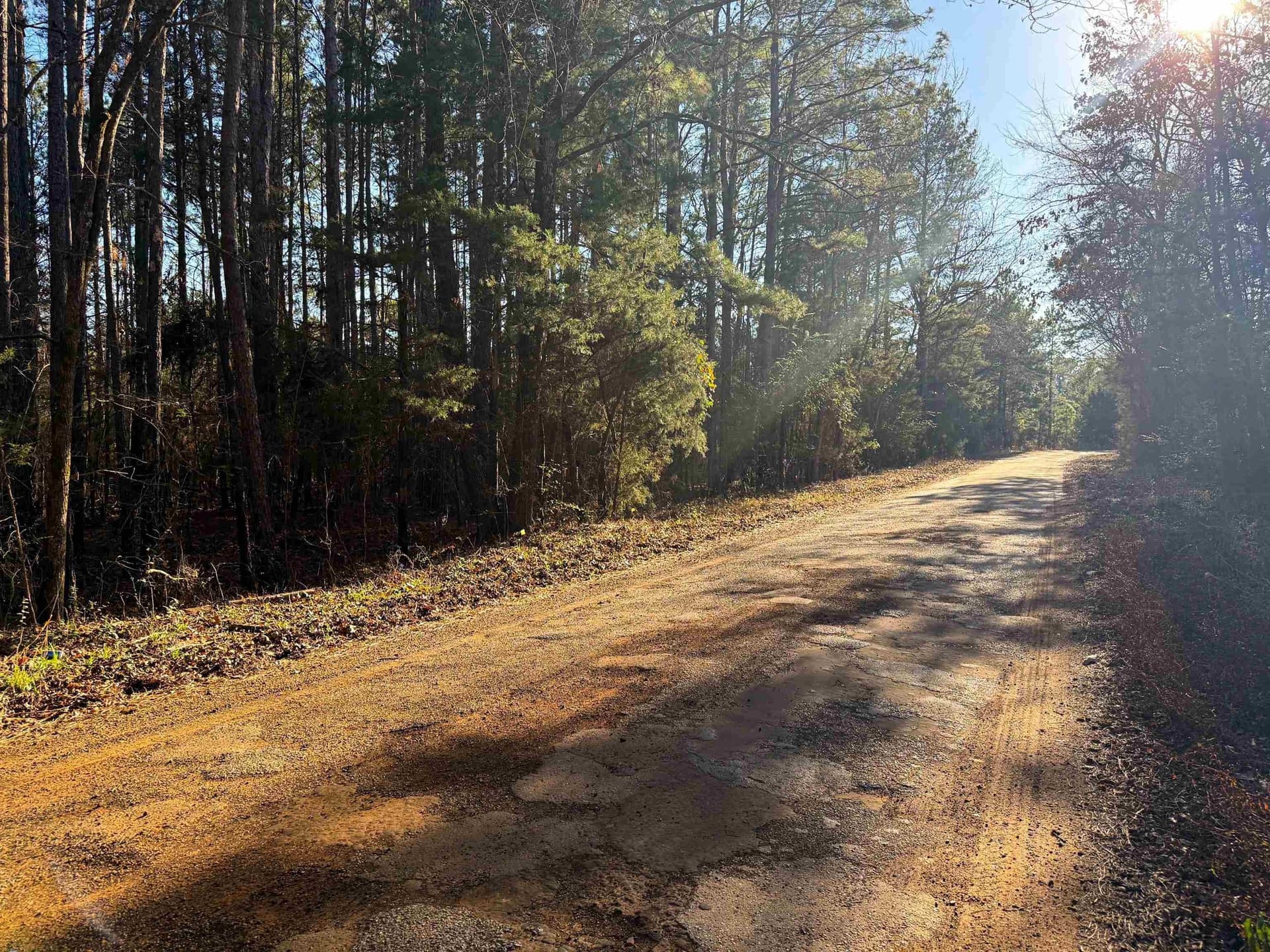 2.16 acres in Texas County gallery image 2