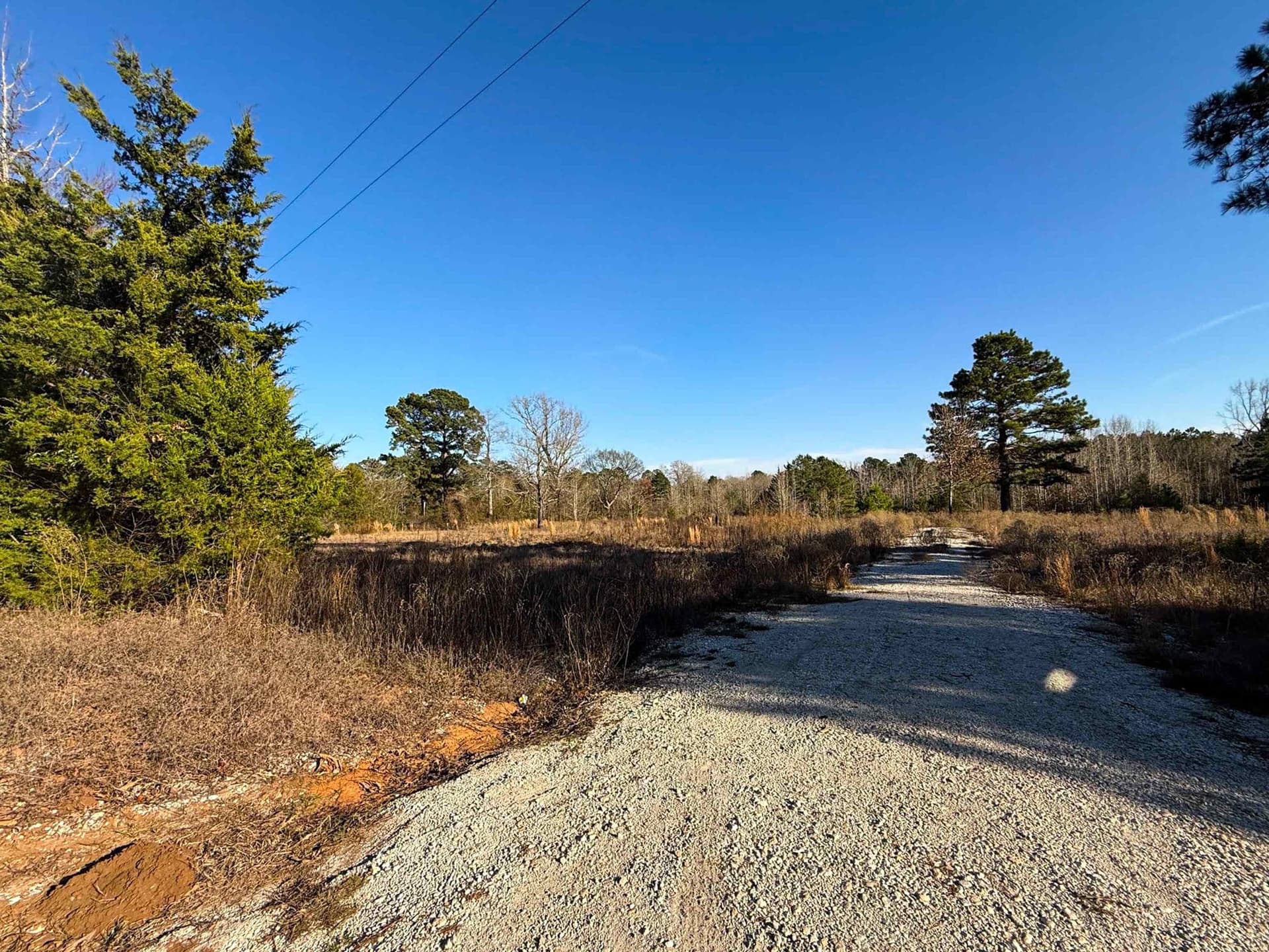 2.16 acres in Texas County gallery image 4