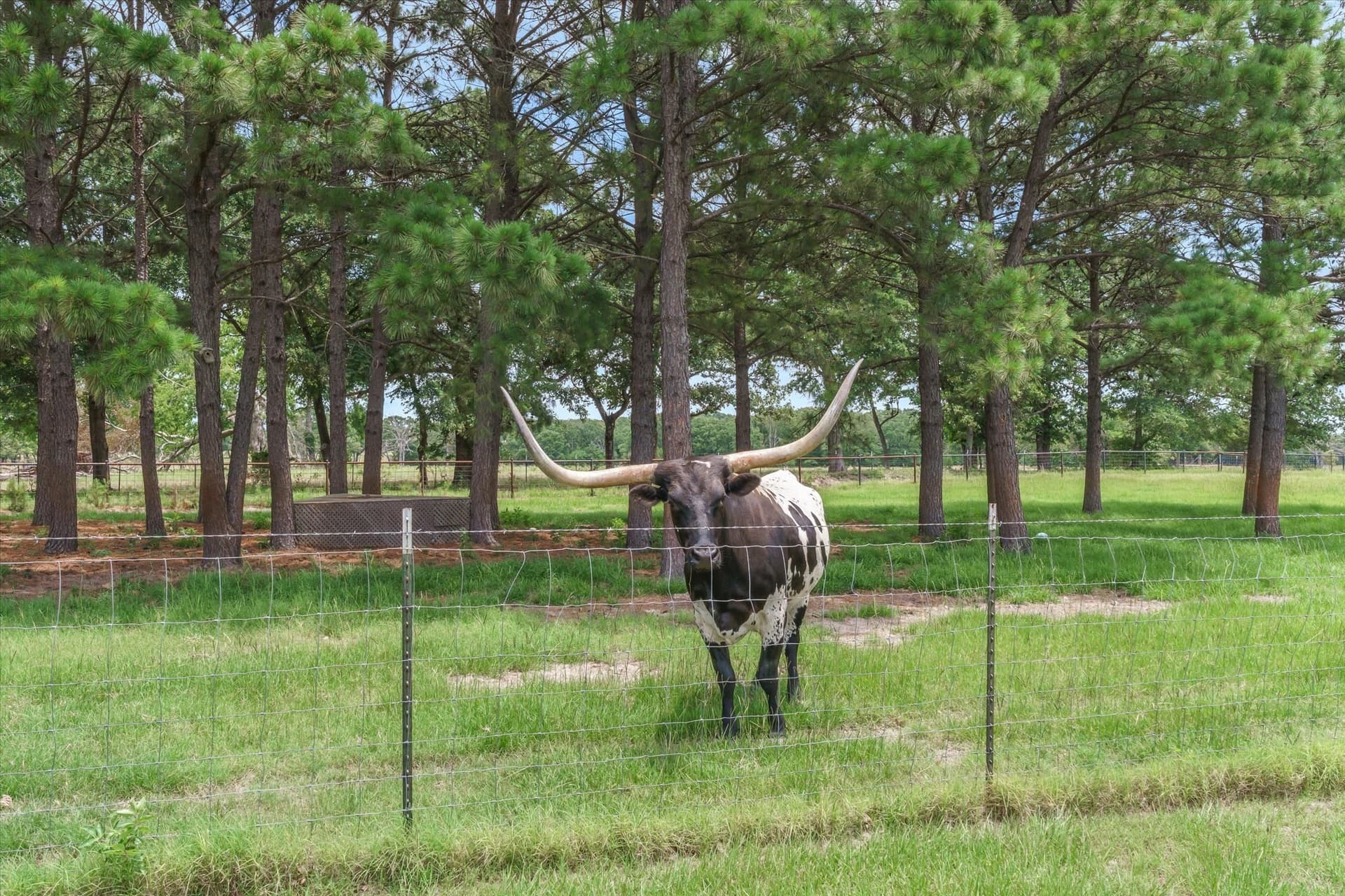 15.3 acres in Van Zandt County featured view