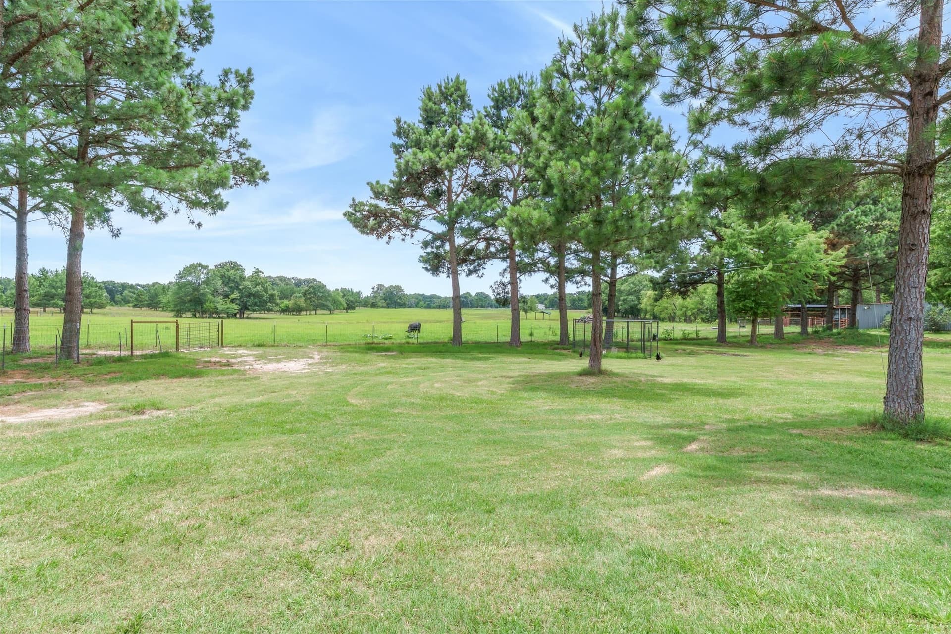 15.3 acres in Van Zandt County - photo 26