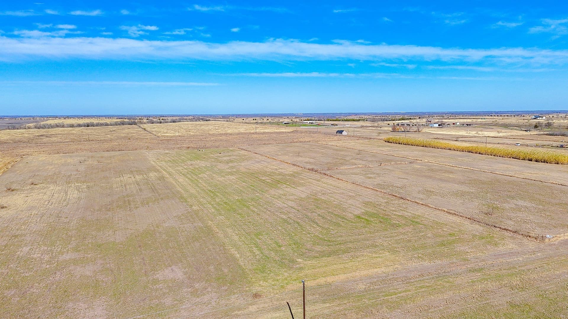 5 acres in Navarro County - photo 4