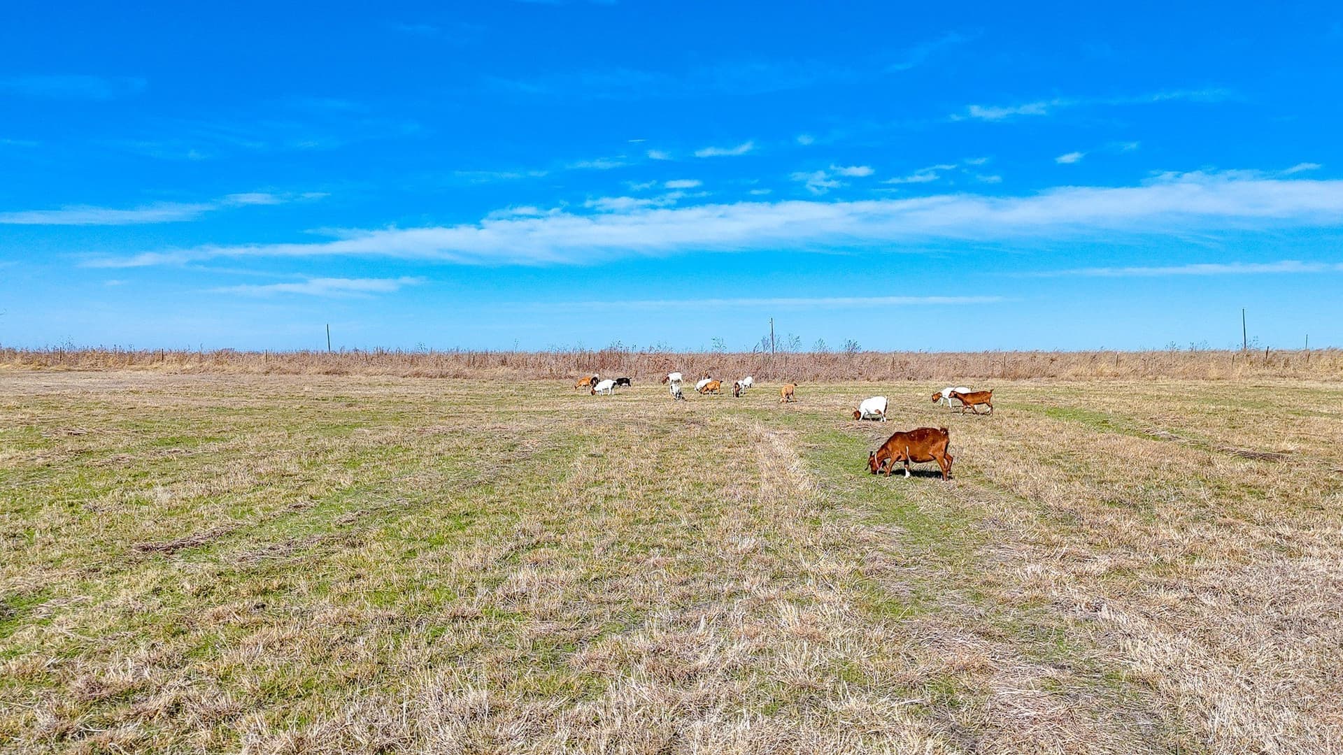 5 acres in Navarro County