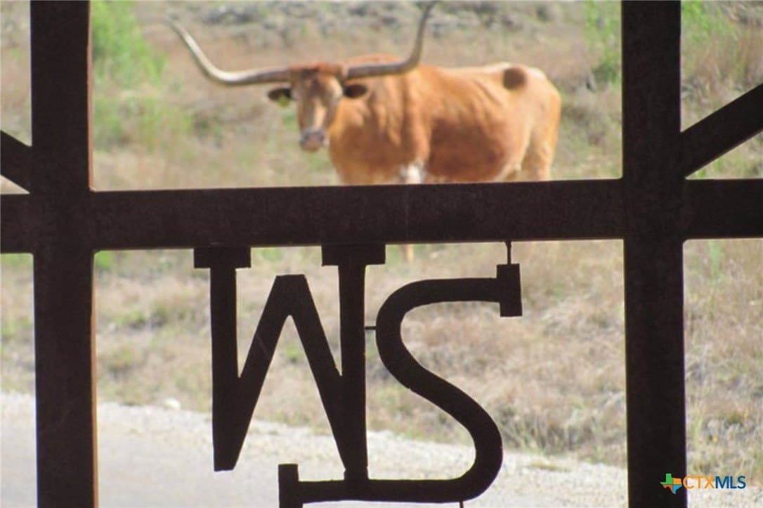 5.66 acres in Blanco County - photo 24