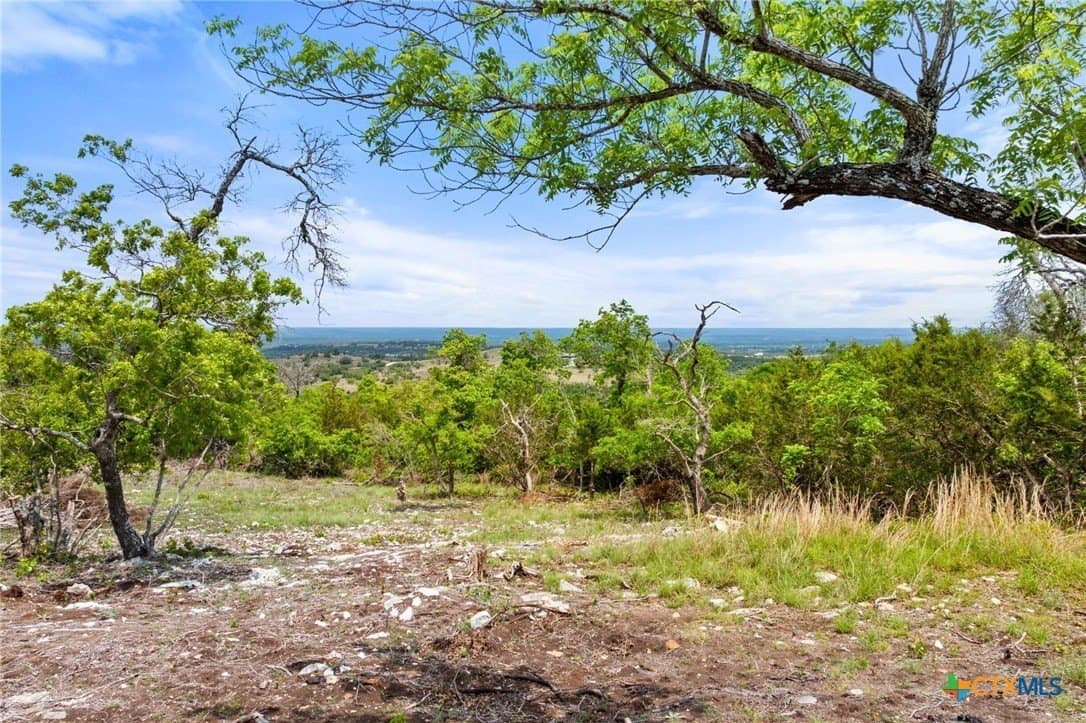 5.66 acres in Blanco County - photo 16