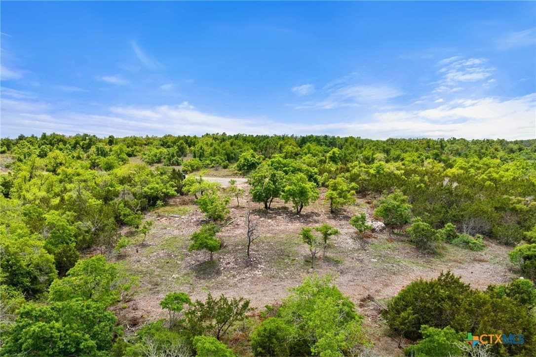 5.66 acres in Blanco County - photo 19